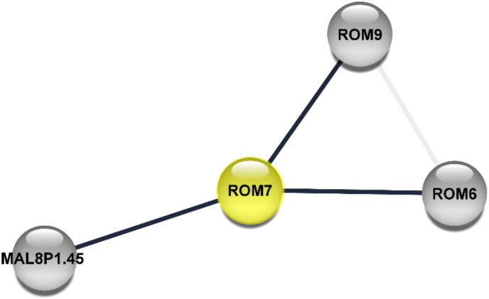 Figure 4