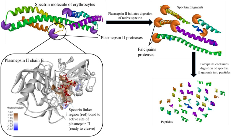 Figure 7