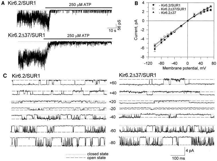 FIG. 4