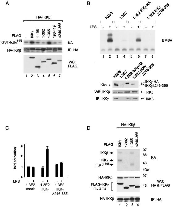 FIG. 6.