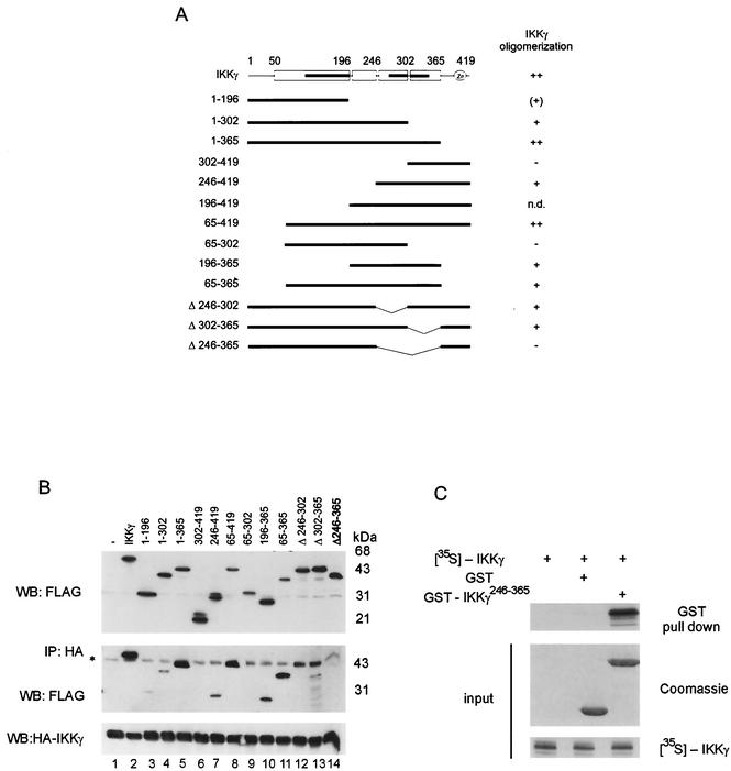 FIG. 2.