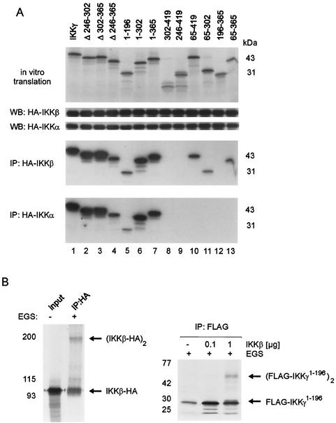 FIG. 5.