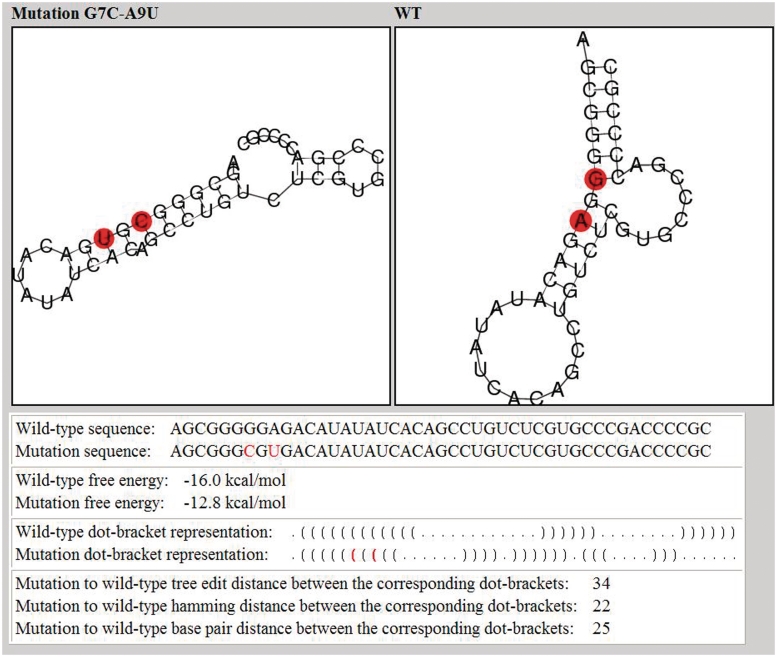 Figure 6.