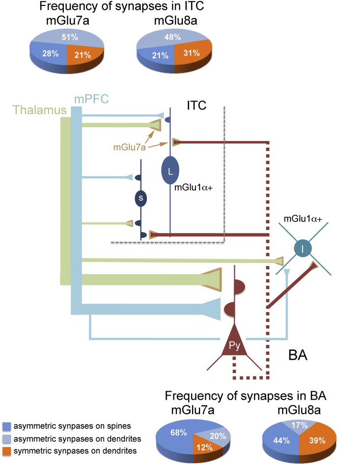 Fig. 10