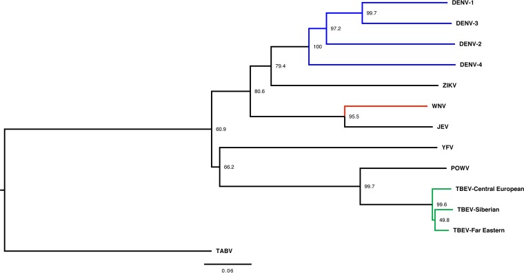 FIG 1 