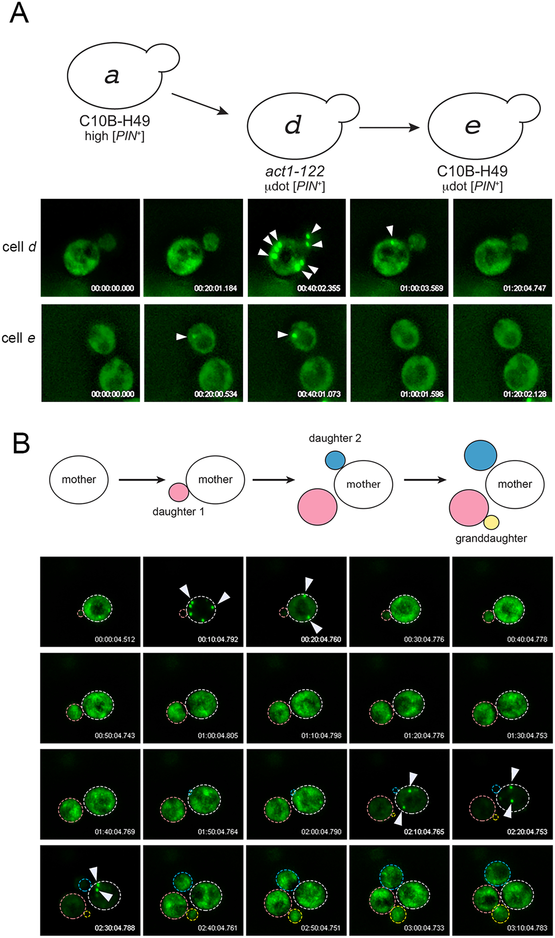 Figure 4.