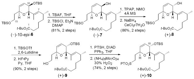 Scheme 2