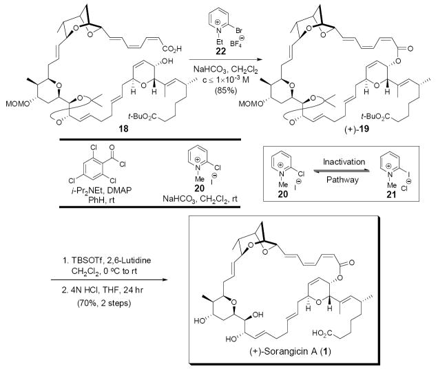 Scheme 5