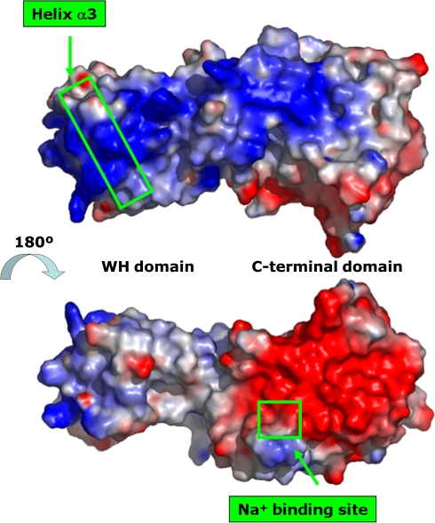 Fig. 4