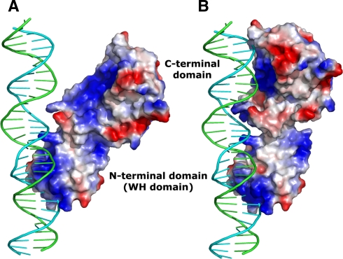 Fig. 6