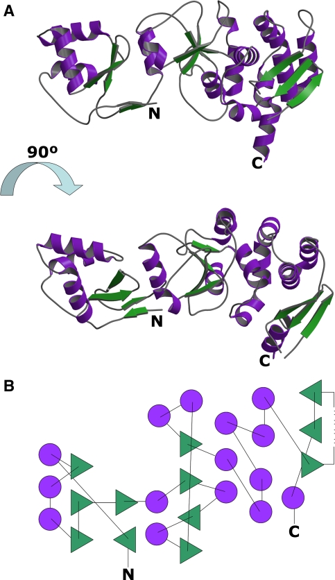 Fig. 1