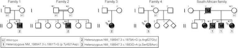 Figure 2