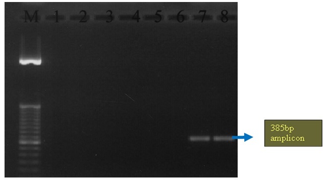 [Table/Fig-4]: