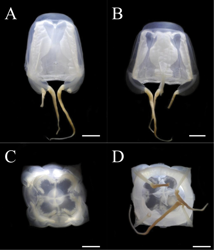 Figure 4.