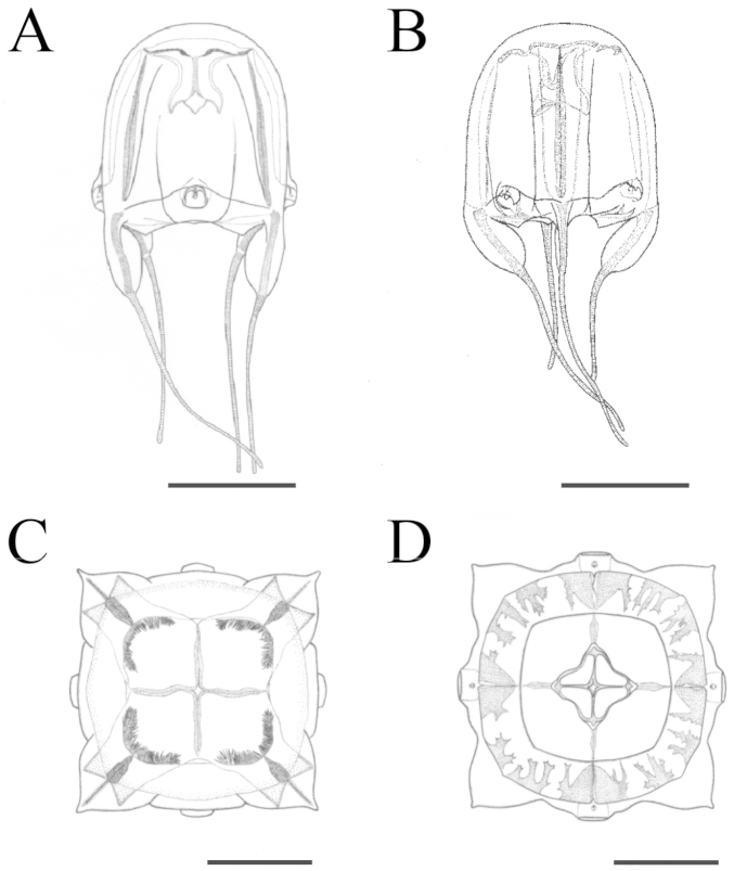 Figure 9.