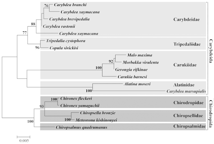 Figure 12.