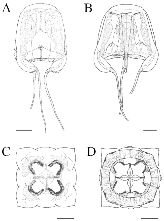 Figure 5.