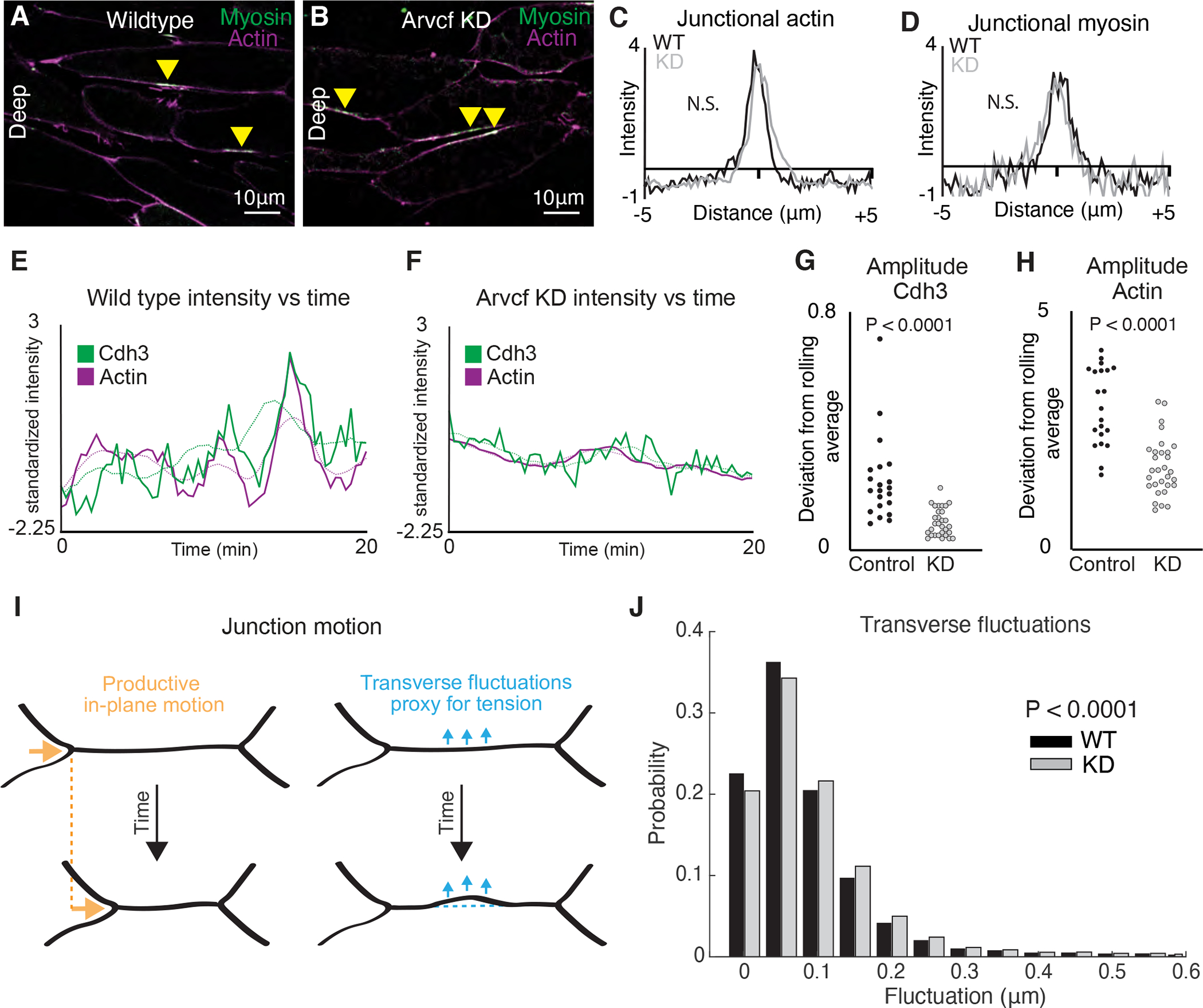 Figure 6: