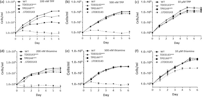 FIG 6