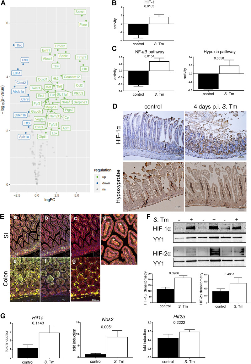 FIG 1