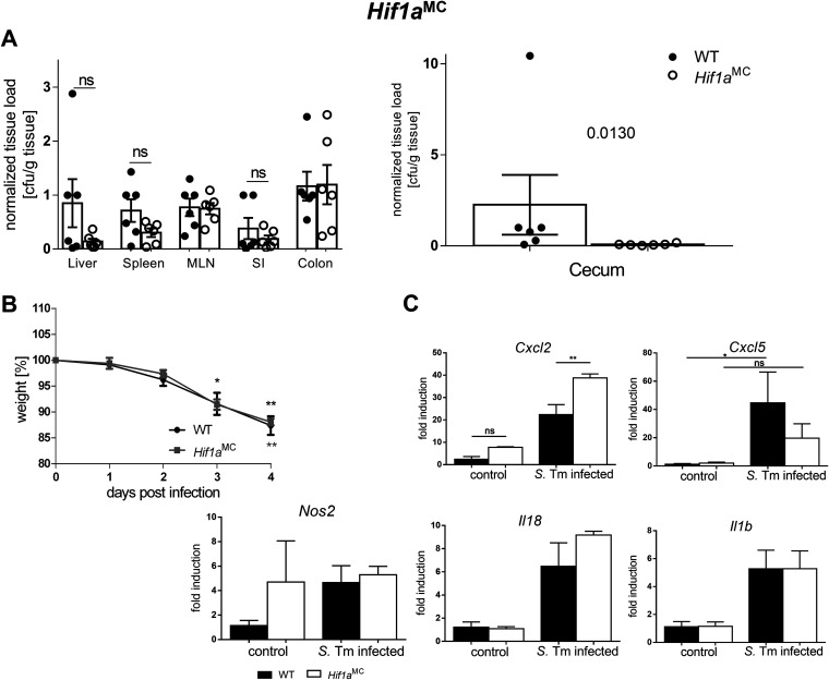 FIG 3