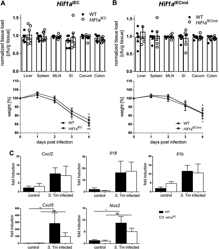 FIG 2