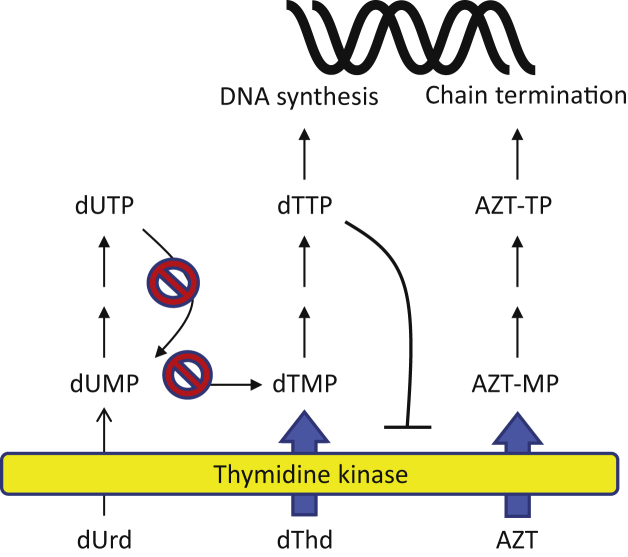 Figure 10