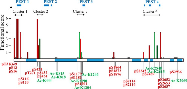 Figure 5.