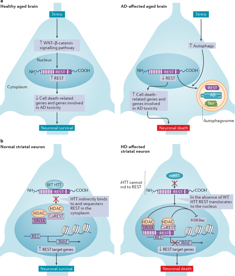 Figure 2 |