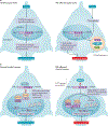 Figure 2 |