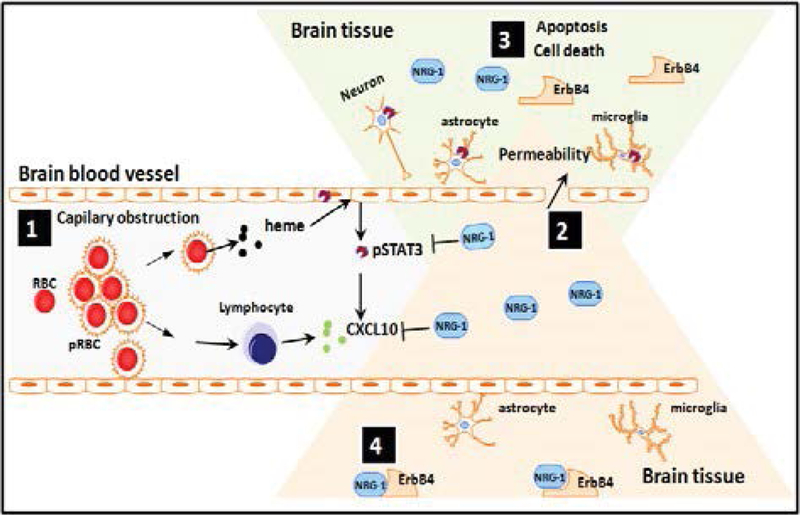 Figure 2: