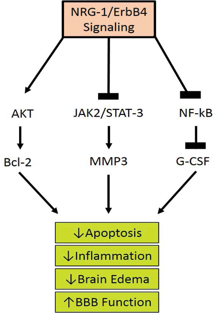 Figure 3: