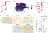 Extended Data Fig. 6 |