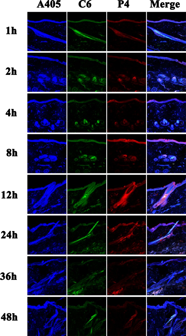 Figure 5