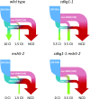 Figure 9.