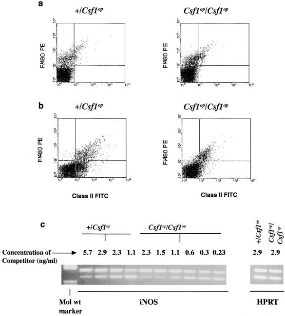 FIG. 6