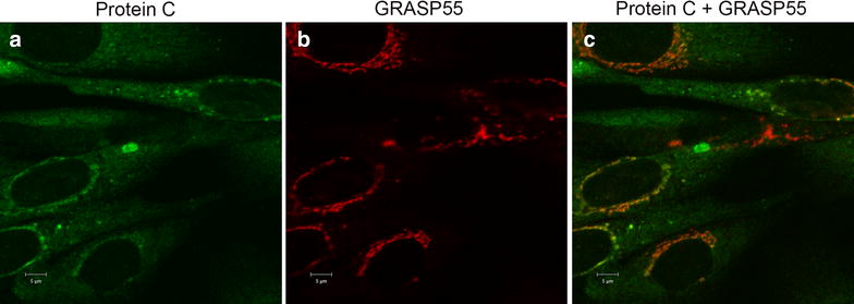 Fig. 3