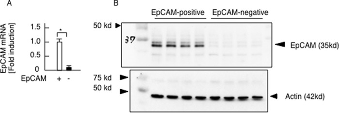 FIGURE 12.