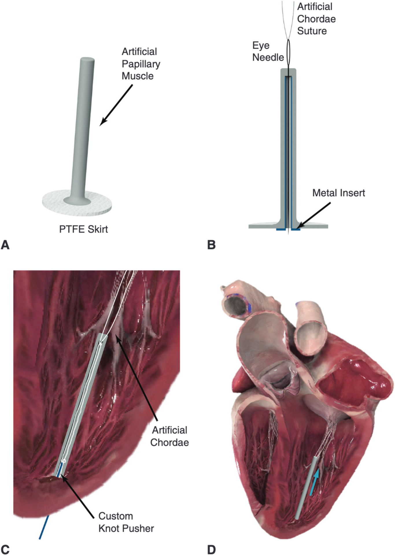 FIGURE 1.