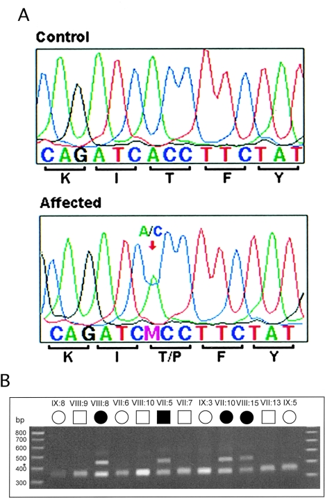 Figure  3