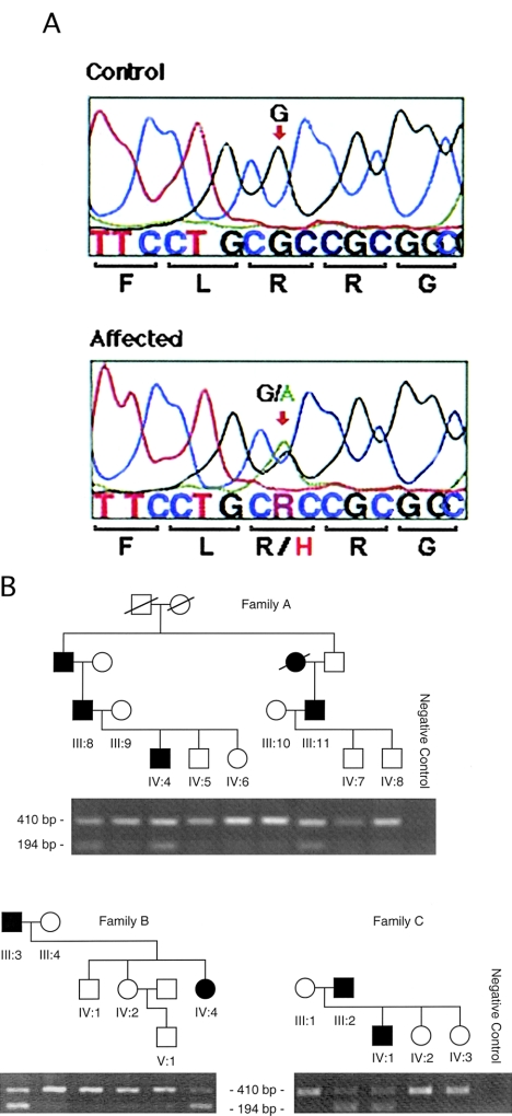 Figure  2