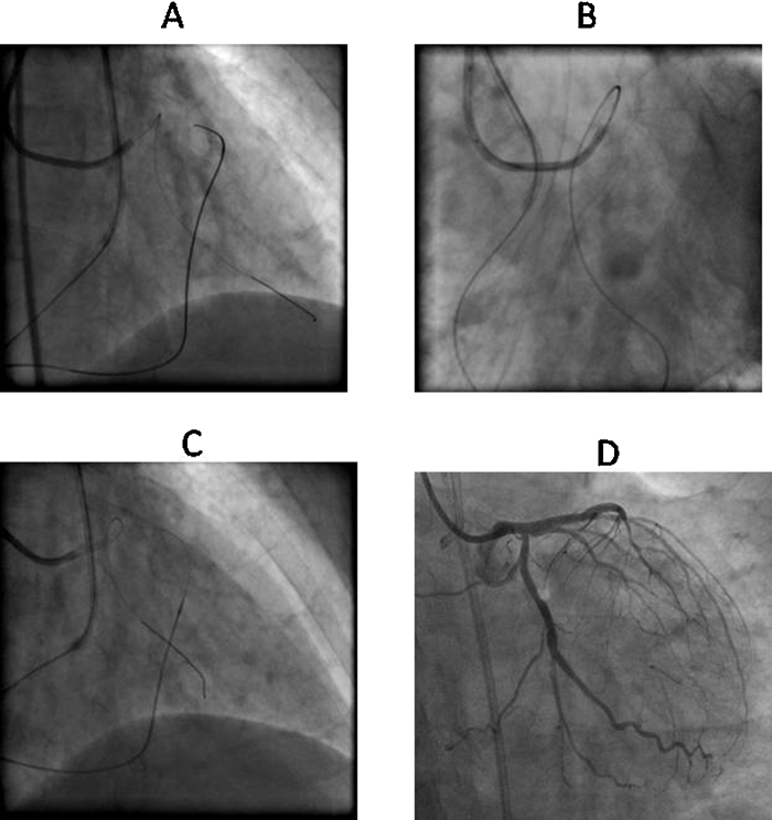 Fig. 5