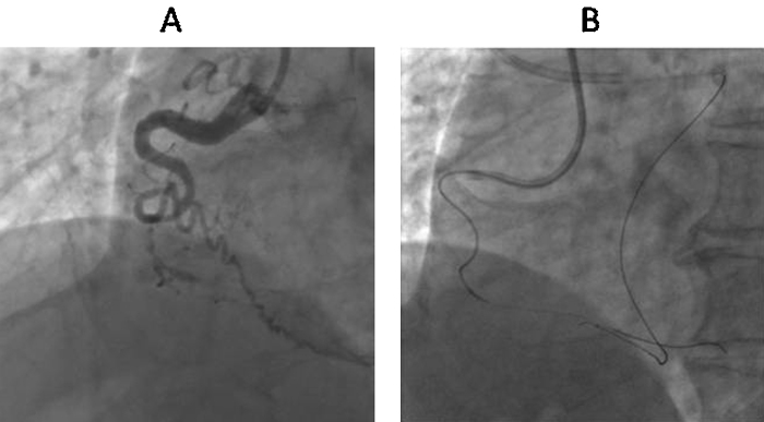 Fig. 7