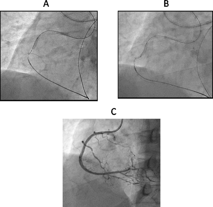 Fig. 6