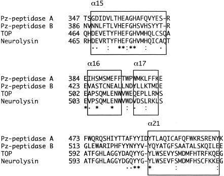 FIG. 5.