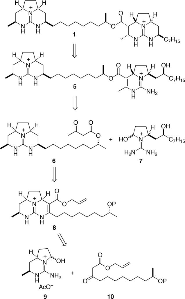 Scheme 1