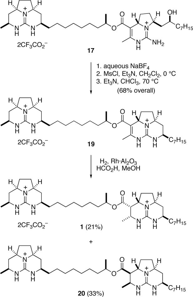 Scheme 4