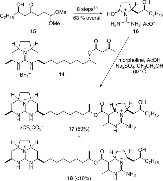 Scheme 3