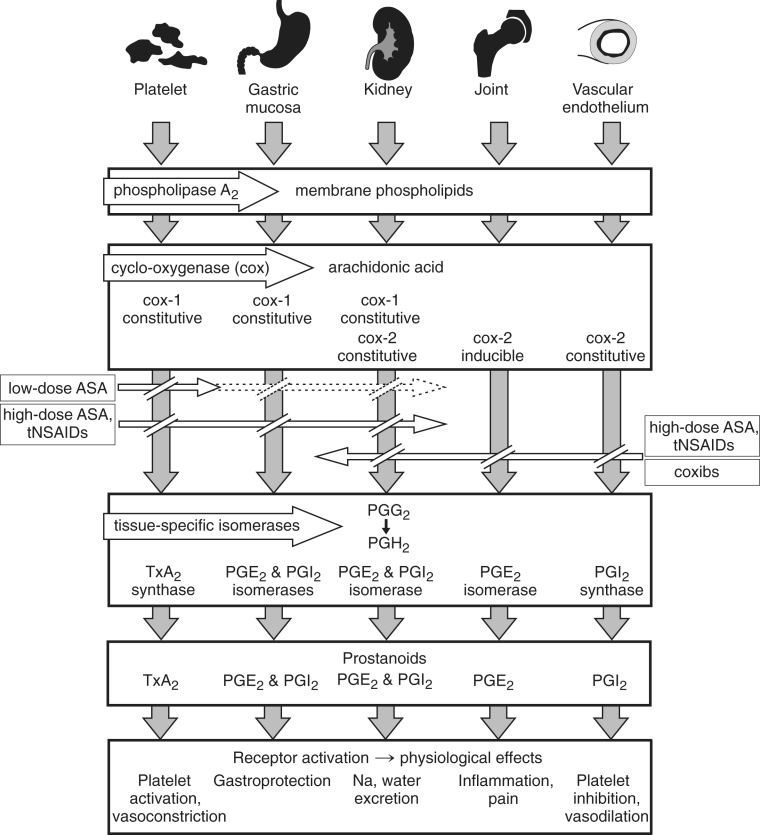 Figure 1)