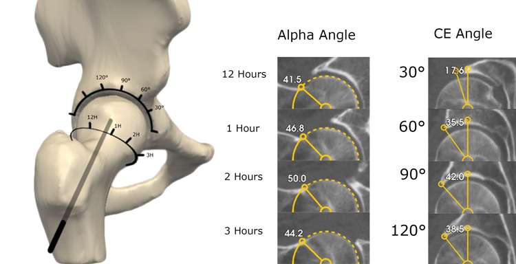 Fig. 1